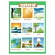 thumbnail image 2 of Tabla de carteles educativos Gloria para niños de jardín de infantes Naturaleza, 2 of 7