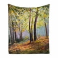 thumbnail image 1 of Country Soft Flannel Fleece Blanket, Image of Spring Landscape in Forest with Falling Leaf and Various Trees Mod Print, Cozy Plush for Indoor and Outdoor Use, 50" x 60", Brown Green, by Ambesonne, 1 of 6