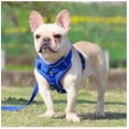 thumbnail image 2 of Yidarton New Pet Leash Reflective Breathable Dog Chest Strap Vest Pet Chest Strap, 2 of 10