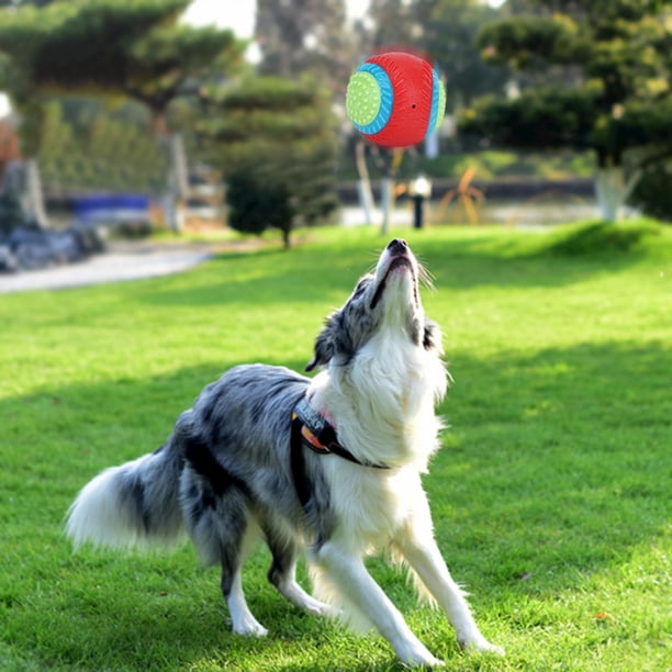 Juguete Para Mascotas, Pelota De Juguete Interactiva Para Perros, Para Aliviar El Aburrimiento, Elasticidad De La Pelota Elástica Para Mascotas Con Dispositivo De Sonido Para ANGGREK No
