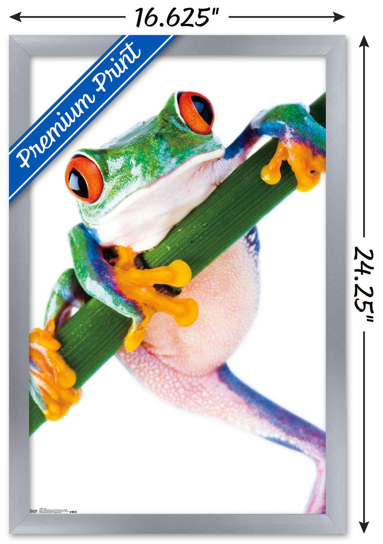 Tree Frog Wall Poster, 14.725" x 22.375", Framed