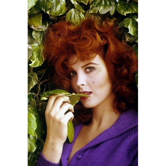 Tina Louise sultry Exotic pin up 24x36 Poster