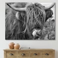 thumbnail image 2 of Designart ' Close Up Of Scottish Cow On Moorland II ' Farmhouse Canvas Wall Art Print, 2 of 4