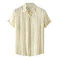thumbnail image 1 of Hombres Casual Botones Playa Sin posicionamiento Estampado Turndown Camisa de manga corta Blusa Pompotops  oipoqjl49360, 1 of 9