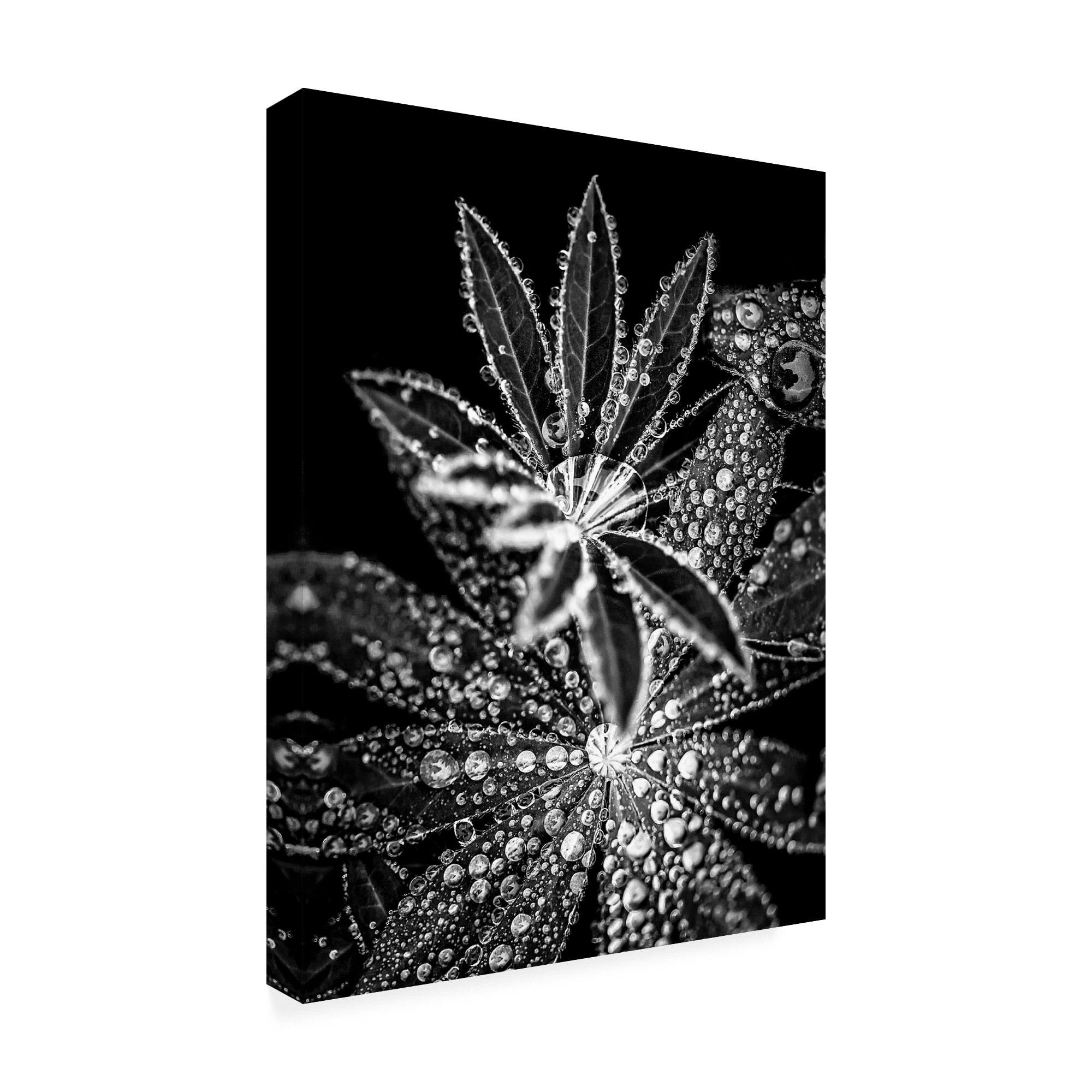 Trademark Fine Art 'Crystal I' Canvas Art by Incado
