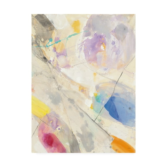 Trademark Fine Art Abstract Canvas Art ' Spring Confetti Ii ' by Albena Hristova