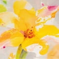 thumbnail image 2 of Hristova, Albena 20x20 Gold Ornate Wood Framed with Double Matting Museum Art Print Titled - Bright Tulips III, 2 of 4