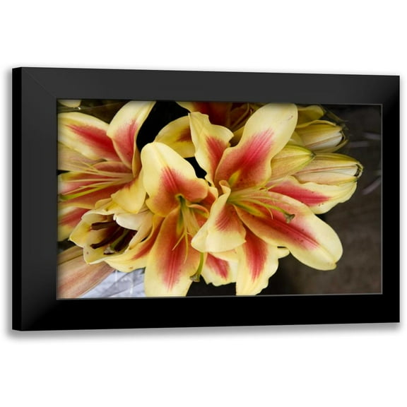 Love, Maureen 14x11 Black Modern Framed Museum Art Print Titled - Vanilla Lily I
