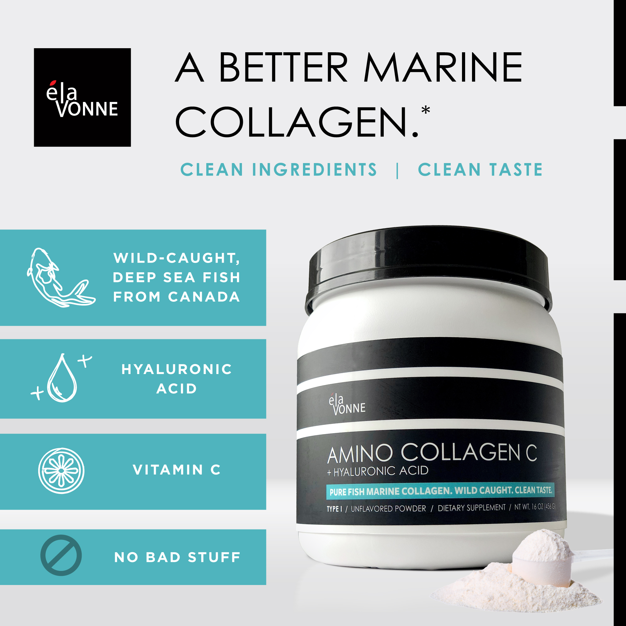 Colágeno Amino C con Ácido Hialurónico (60 porciones _ 16oz 456g) - Péptidos de Colágeno Marino No-GMO - Polvo Hidrolizado - Sin Sabor - Sin Azúcar - para Piel Firme, Hidratación, Articulaciones Saludables 3