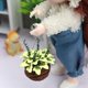 thumbnail image 5 of s colgantes artificiales, de mimbre hecha , plantas para casa de a 1:12, muebles, juguetes, de, 5 of 7