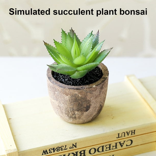 Gwong Decoración hogareña Planta artificial simulada Fácil de cuidar PVC Mini surtido Falso Falso Suculento Falso Potted para el hogar Gwong 21083477