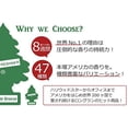 thumbnail image 2 of LITTLE TREES Car Air SSF20 Freshener | Hanging Paper Tree for Home or Car | Summer Linen | 6 Pack, 2 of 3