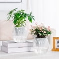 thumbnail image 2 of Hioecau Plastic Flowerpot Self-Watering Planter Weather-Resistant UV Protection Automatic Watering System Plant Pot, 2 of 8
