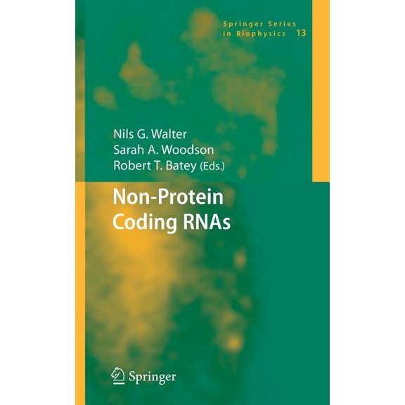 Springer Biophysics Non-Protein Coding Rnas, Book 13, (Hardcover)