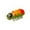 D - One Size, variant on WD-Forest Mini Beetle Shaped Pet Interactive Toy 1.8 in Battery Operated Moving Pet Toy Colorful Bug Toy for Cats & Dogs