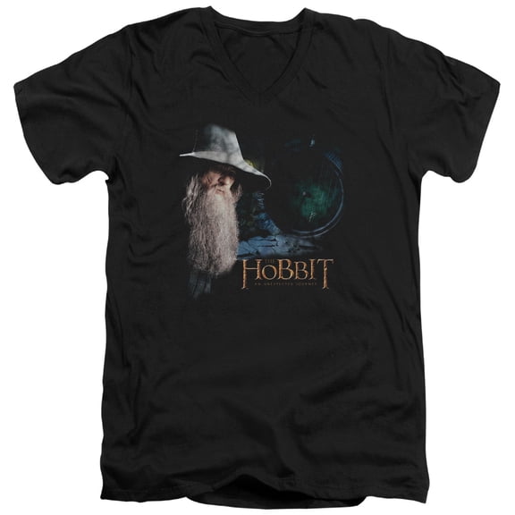 The Hobbit The Door S/S Adult V-Neck T-Shirt Black
