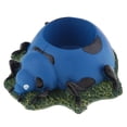 thumbnail image 3 of Cesta de flores de jardín, maceta , caja a través Azul Zulema Olla suculenta, 3 of 8