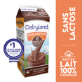 thumbnail image 2 of Dairyland Lait au Chocolat Sans Lactose, 2 of 5
