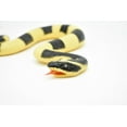 thumbnail image 5 of Snake, Banded Krait, Yellow and Black Snake, Coiled, Rubber Reptile, Educational, Realistic Hand Painted, Figure, Lifelike Model, Figurine, Replica, Gift,       12"      F3590 B492, 5 of 6