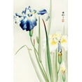 thumbnail image 2 of Koson, Ohara 13x18 White Modern Wood Framed Museum Art Print Titled - Irises, 2 of 4