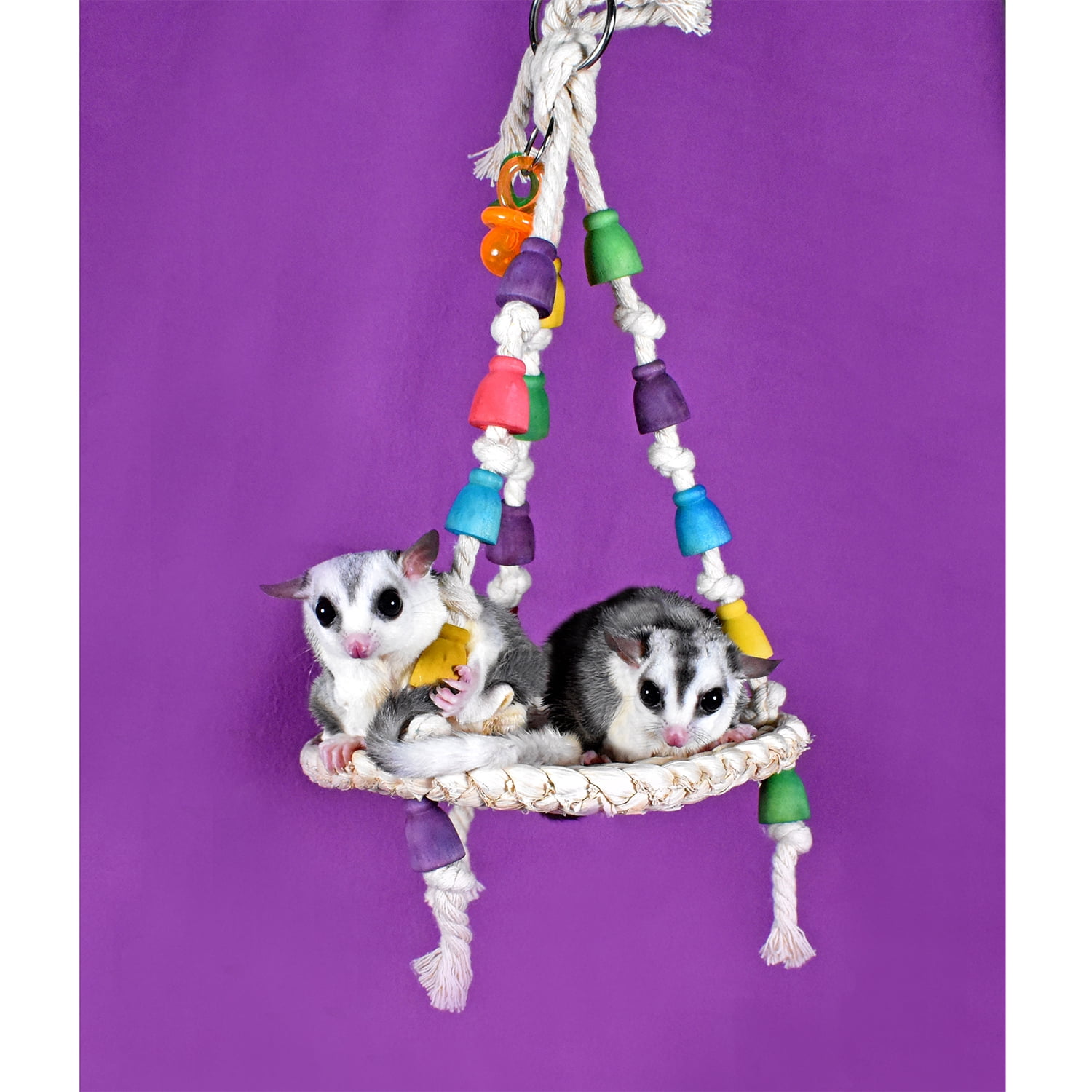 Exotic Nutrition Jungle Canopy Toy Bundle - Colorful Interactive Climbing Forage Cage Accessory Toy Set - for Sugar Gliders, Rats, Ferrets, Hamsters, Squirrels, Parrots, Birds, Marmosets, Degus, Monk