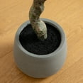 thumbnail image 7 of Nearly Natural Dogwood Potted Artificial Tree - 6' - Red, 7 of 7