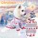 thumbnail image 1 of Liquidación del Día de la Madre de Jacenvly 2020, ropa para mascotas para Navidad y Año Nuevo, ropa para perros y mascotas, regalos para el Día de la Madre para mujeres, hombres, mamás, niñas, niños, 1 of 5