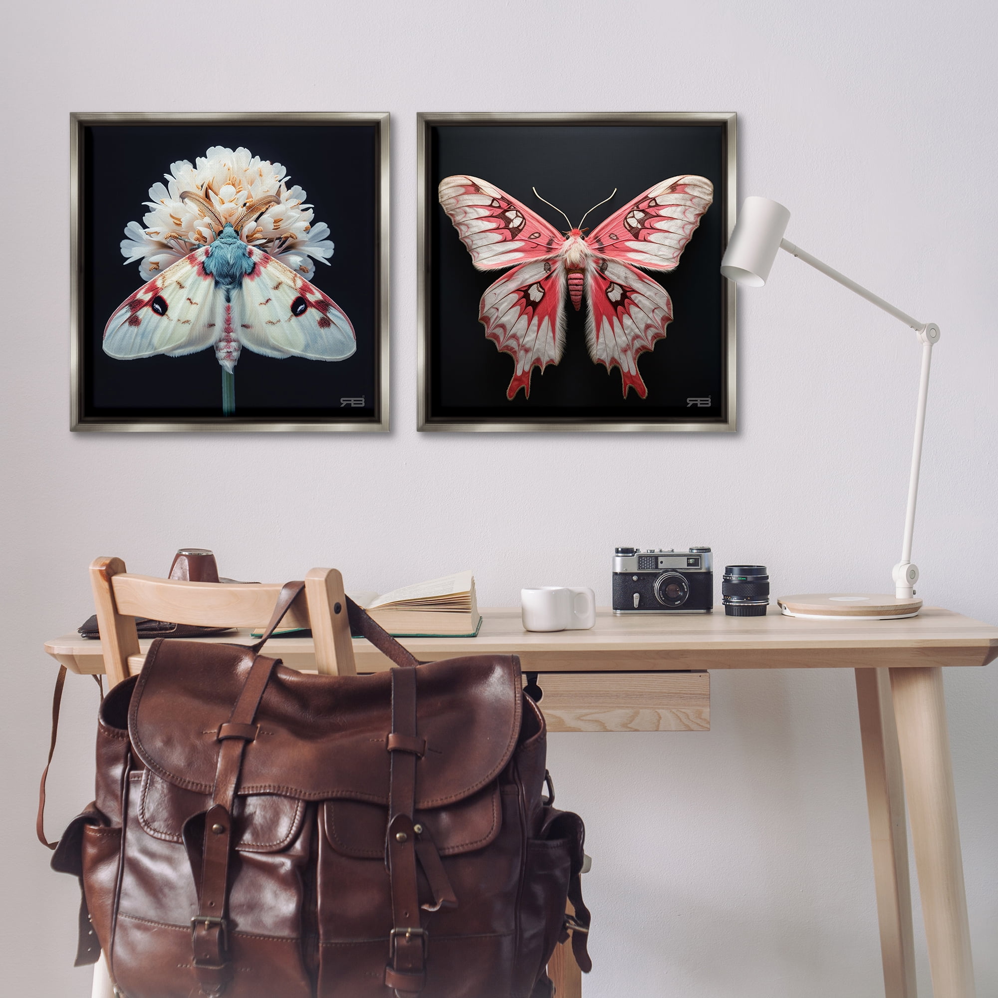 Stupell Industries Detailed Pink Moths Flower Animals Painting Gray Floater Framed Canvas Art Print Wall Art, 25 x 25, Set of 2