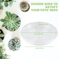 thumbnail image 3 of 10pc Clear Plant Saucer Drip Trays Plastic Plant Pot Saucers Flower Pot Set, 3 of 7