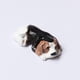 thumbnail image 5 of 1/12 Animal con en Decoración para Casa de , Perro perfke Perro de la casa de muñecas, 5 of 7