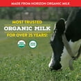 Horizon Organic Heavy Whipping Cream, 1 Pint
