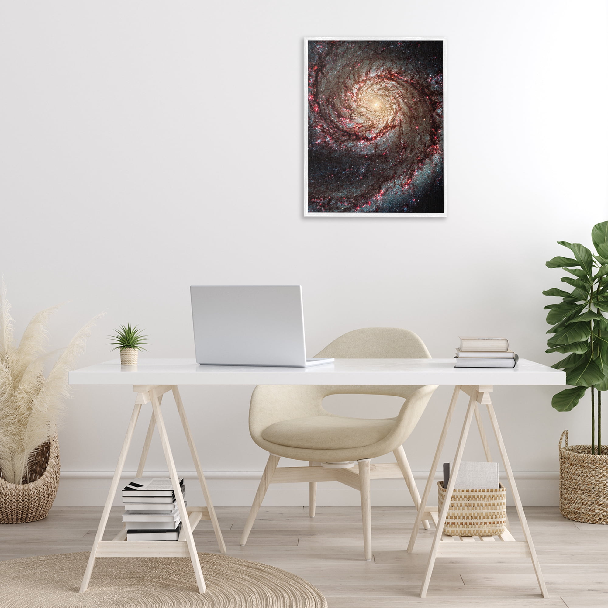 Stupell Industries Great Beyond Nebula Animals & Insects Photography White Framed Art Print Wall Art, 24 x 30