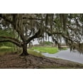 thumbnail image 2 of Looney, Hollice 18x13 Black Ornate Wood Framed with Double Matting Museum Art Print Titled - USA-Florida-Sarasota-Myakka River State Park, 2 of 4