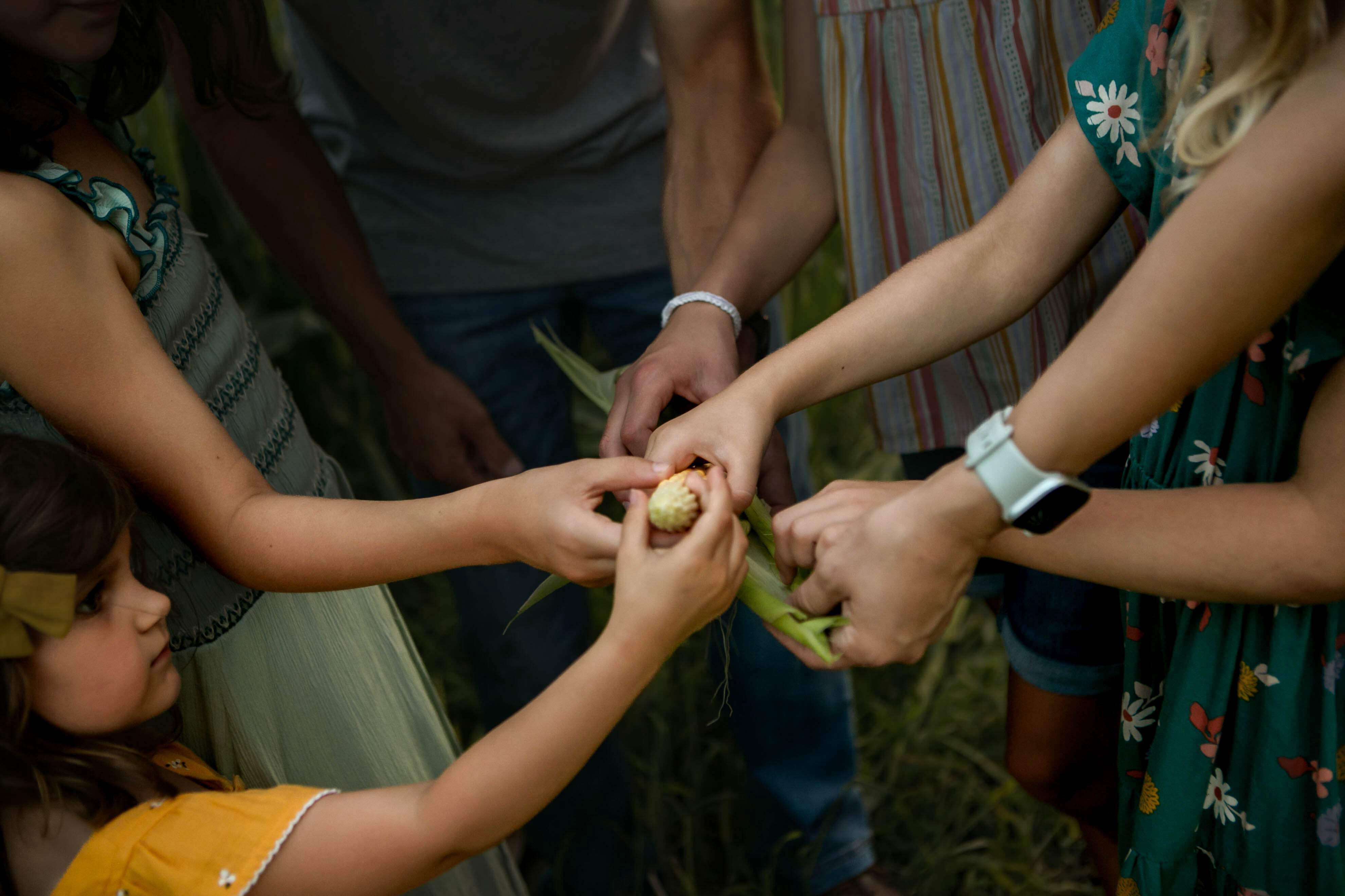 Free Day WHITE Popcorn, 35 lb Bag | farm fresh, non-GMO, white butterfly kernels | Small Farm. Big Flavor.