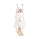 thumbnail image 1 of Mochila de peluche de gato, bonita, cómoda y suave, ideal como regalo para amantes de las mascotas. Sin corbata, 1 of 9