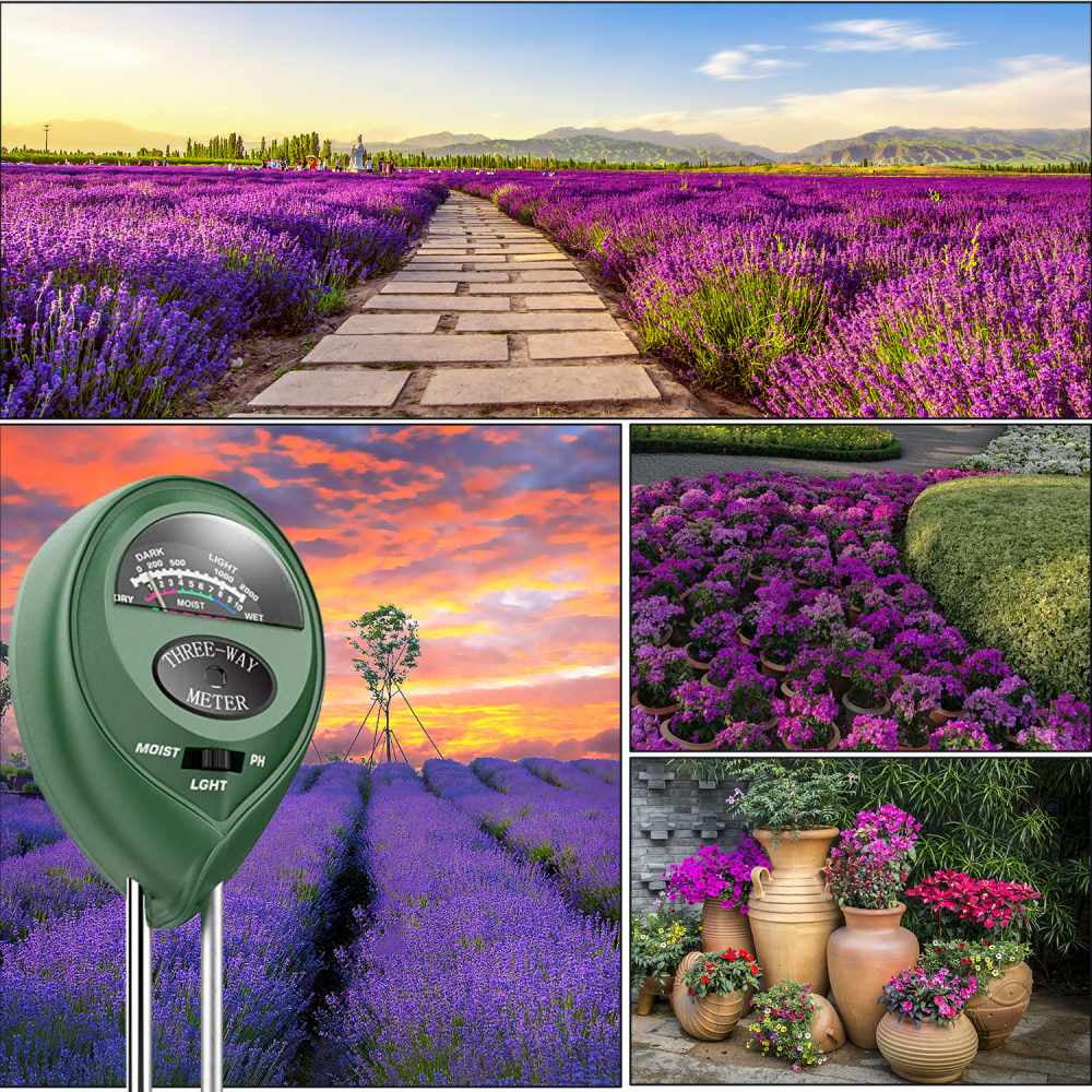 9 Pcs Bonsai Tools With Soil Moisture Meter, 3-In-1 Moisture Sensor/Sunlight/Ph, Include Pruner, Folding Scissors, Mini Rake, Bud & Leaf Trimmer Set