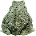 thumbnail image 3 of Michael Carr Designs Critters Reptile Texas Toad Outdoor Lawn Figurine, 3 of 4