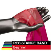 TheraBand Professional Latex Resistance Bands, Individual 6 Ft Elastic Band for Upper & Lower Body Exercise, Physical Therapy,