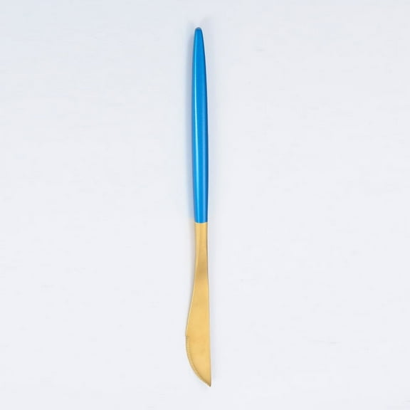 Nvzi-c 4Pcs Stainless Steel Dinner Knives Knives for Home Restaurant Hotel-Gond Blue