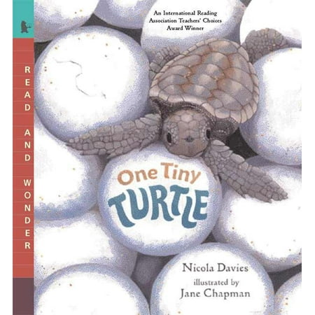One Tiny Turtle: Read and Wonder (Paperback)