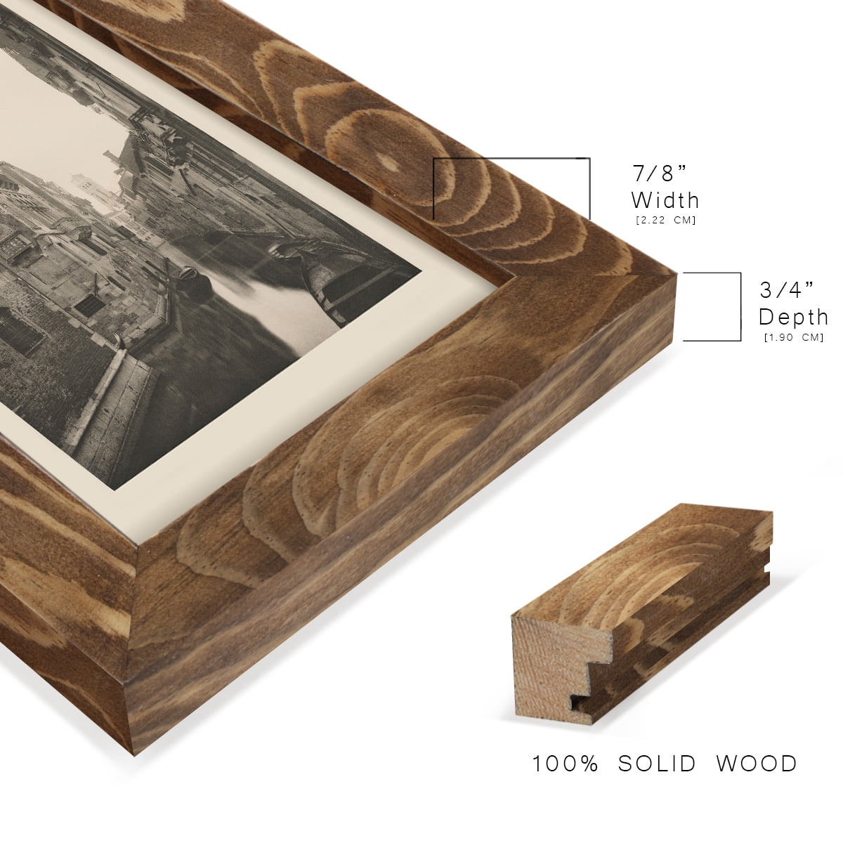 Vintage Views of Venice V - Framed Print w/glass - Walnut
