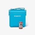 thumbnail image 6 of Igloo Tag Along Too 11 QT Hardside Cooler, Seafoam Mist, 6 of 70