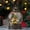 Christmas Tree, variant on Snow Globe with Nutcrackers, Light Up Christmas Snow Globes with Music Timer - USB Plug or Battery Operated Glitter Globe Indoor Christmas Decorations