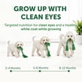 thumbnail image 4 of Nature's Protection Superior Care Dry Dog Food, White Coat Puppies, Grain-Free Salmon, 3.3lb, 4 of 9