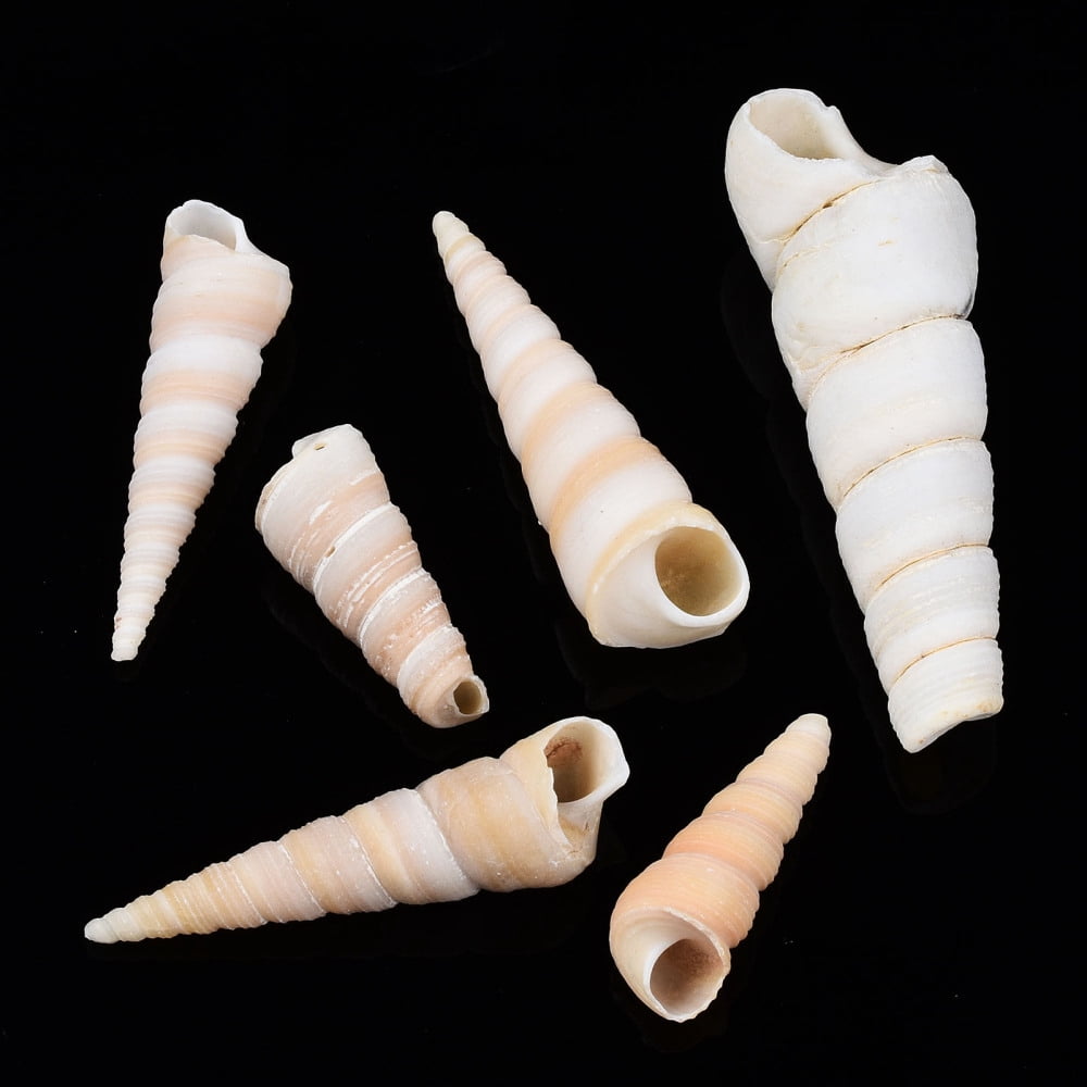 500gs Spiral Shell Beads Turritella Shell Undrilled/No Hole Beads White 29~72x9~20mm