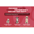 thumbnail image 6 of Liquid-Vet K9 Itch & Allergy Skin and Coat Care Supplement for Dogs, Unflavored, 16 oz., 6 of 8