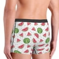 thumbnail image 5 of Naloa Hand Drawn Watermelon Print Mens Underwear - Boxers for Men, Classic Briefs for Men, 5 of 9