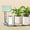 Green, variant on Automatic Watering System for Potted Plants, [Wi-Fi & App Control] Drip Irrigation Kit System, Smart Plant Watering Devices for Indoor Outdoor, Water Shortage Remind, IPX66, Green