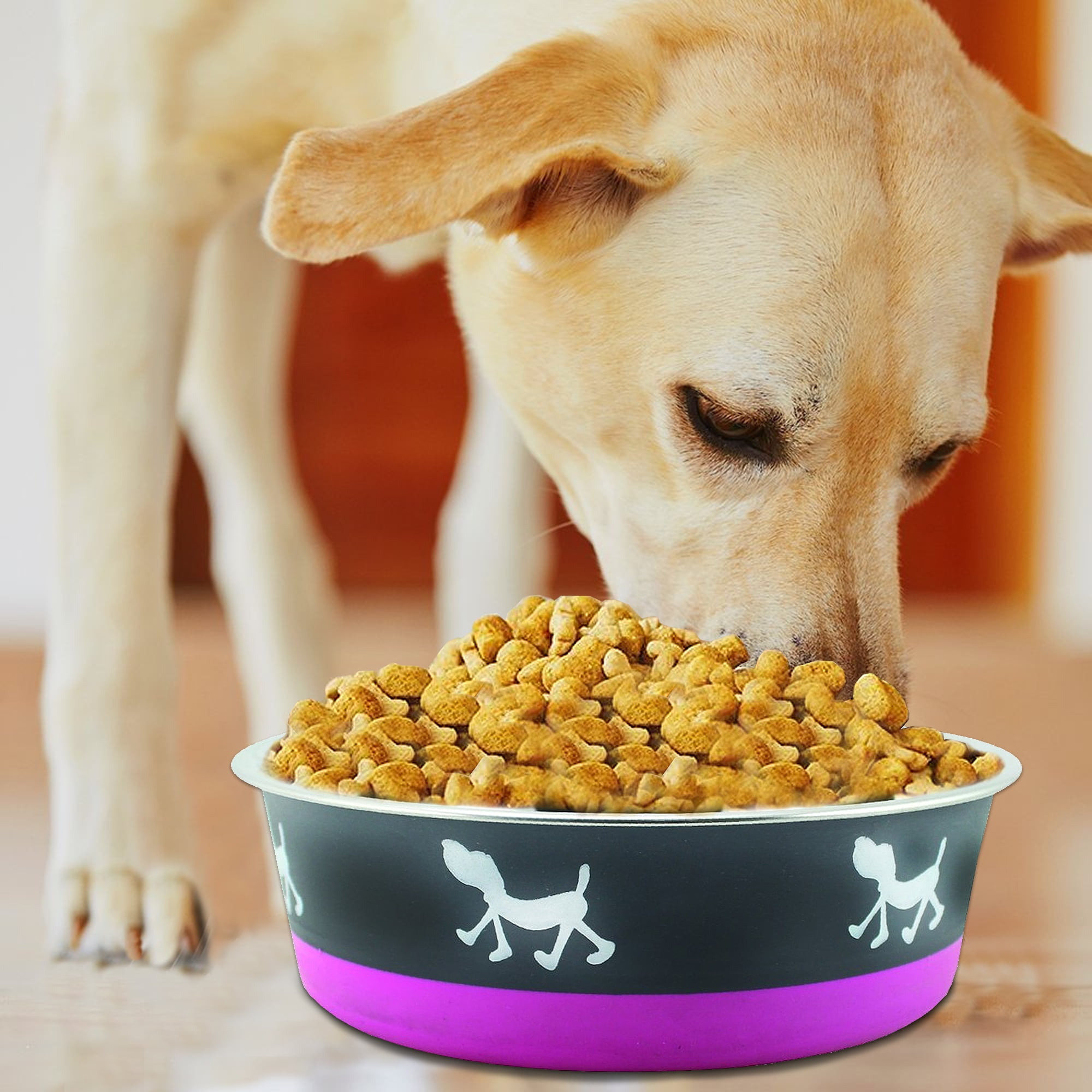 Pefilos 28.7 oz Stainless Steel Pet Bowl with Anti Skid Rubber Base and Dog Design, 2Pcs 6.69"x2.56" Dog Bowls for Small Dogs, Purple Pefilos 28.7 oz Stainless Steel Pet Bowl with Anti Skid Rubber Base and Dog Design, 2Pcs 6.69"x2.56" Dog Bowls for Small Dogs, Purple