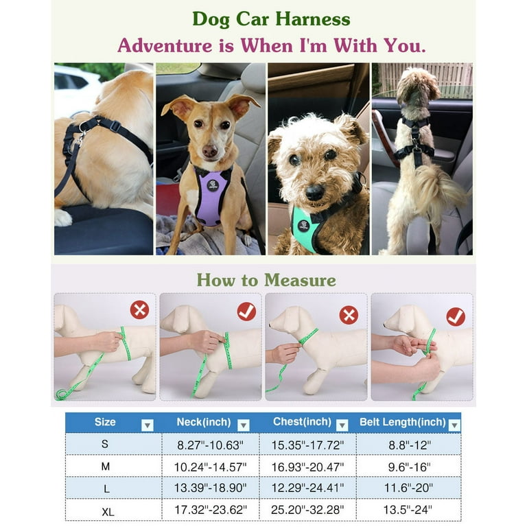 Extra large top dog car harness